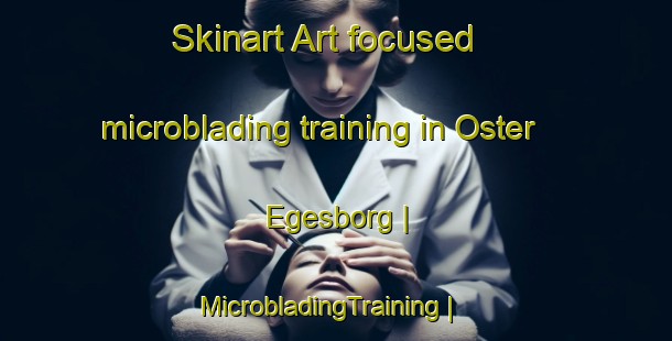 Skinart Art-focused microblading training in Oster Egesborg | MicrobladingTraining | MicrobladingClasses | SkinartTraining-Denmark
